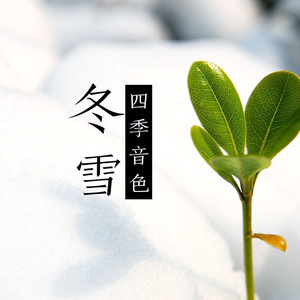 鲁大师免费日韩
