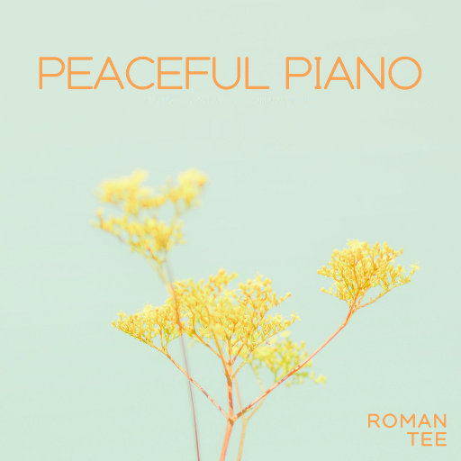 鲁大师免费日韩
